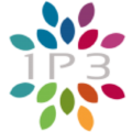 1P3 Hosting
